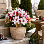 Red Poinsettia Christmas Window Box Arrangement
