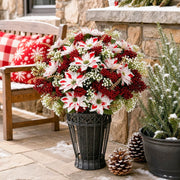 Christmas Poinsettia Floral Arrangement Collection