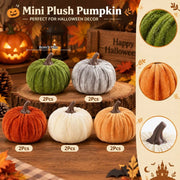 Mini Velvet Fall Pumpkins – Set of 10