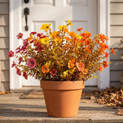 Fall Mum and Daisy Planter Bouquet – 12 Bundles