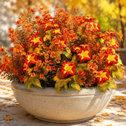 Artificial Fall Mum Stems – 10 Pcs