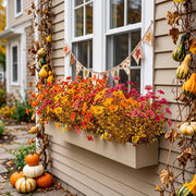 Fall Mum and Daisy Planter Bouquet – 12 Bundles