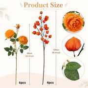 Chinese Lantern & Orange Ranunculus Fall Floral Set – 10pcs