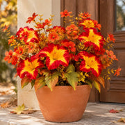 Artificial Fall Mum Stems – 10 Pcs