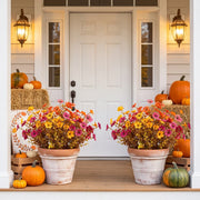 Fall Mum and Daisy Planter Bouquet – 12 Bundles