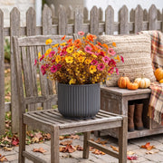 Fall Mum and Daisy Planter Bouquet – 12 Bundles