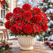 17-Piece Red Velvet Ball Christmas Floral Bouquet