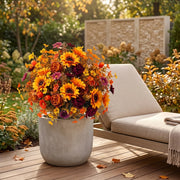 Fall Daisy and Mum Bouquet – Set of 6