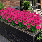 Artificial Pansy Flowers Outdoor Spring Flowers Pansies Wildflower UV Resistant Plants Faux Impatiens for Window Box Wedding Party Outside Garden Porch Decor