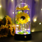 Sunflower glass dome lamp on wooden base – preserved flower night light gift