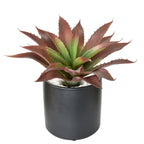 Real Touch Artificial Succulents and Aloe Greenery Unpotted | Home Office Wedding & DIY Floral Arrangement in Green Brown