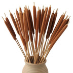 Dried Natural Brown Cattail Stems Bundle 10pcs | Real Bulrush for DIY Floral Wedding Rustic Boho Home Decor
