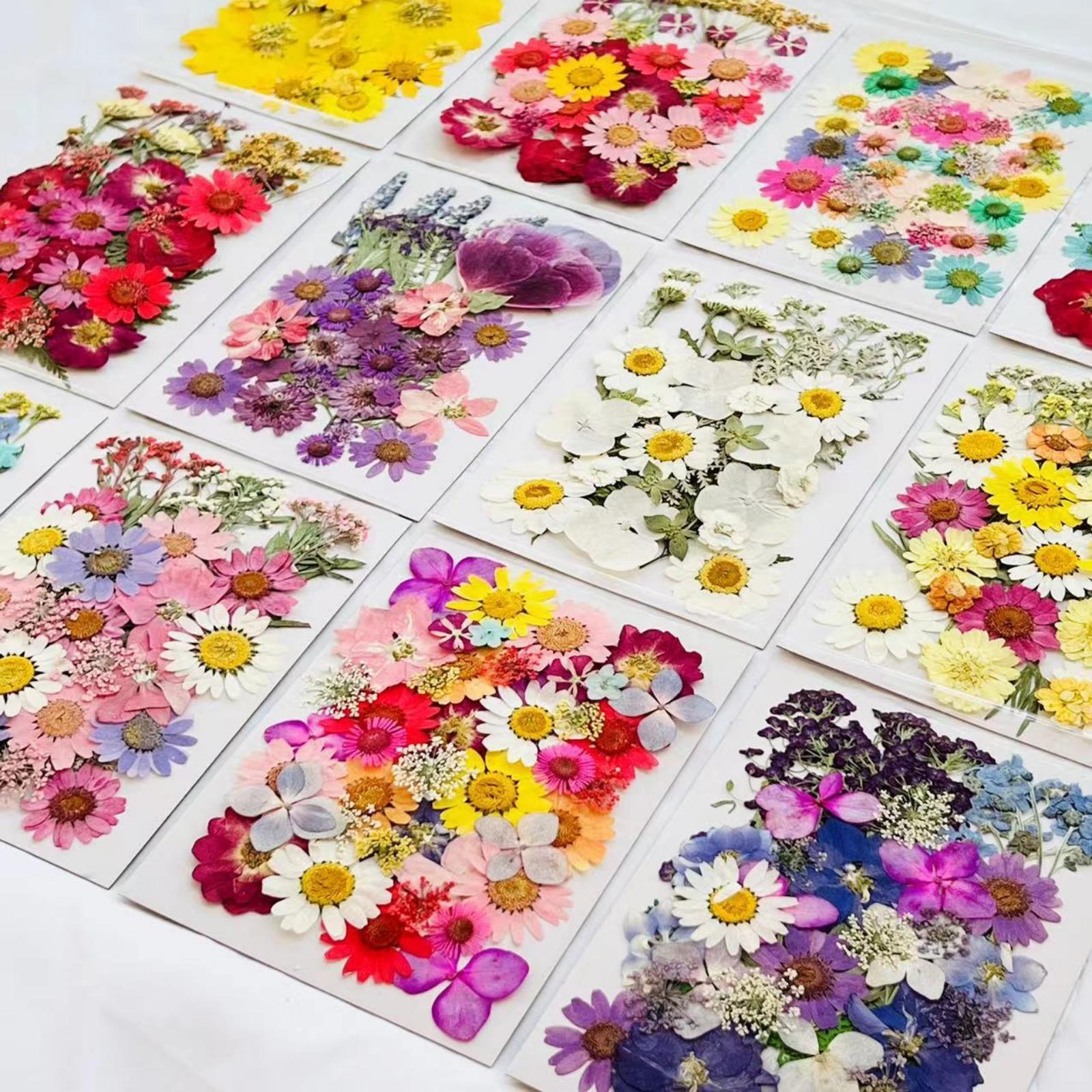 Close-up of dried pressed flowers for nail art and DIY craft use