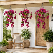 Artificial Hanging Fuchsia Bush – Deep Rose, Set of 2, 60cm