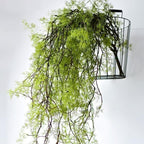 Artificial Twig Vine Garland | Long Faux Greenery Wall Hanging for Home Wedding Backdrop & Party Decor