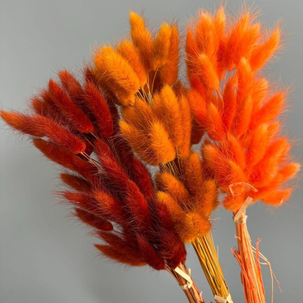 Faux Pampas Grass Set of 2 | Boho Home Decor Wedding Photography Props in White Pink Red Black Orange