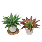 Real Touch Artificial Succulents and Aloe Greenery Unpotted | Home Office Wedding & DIY Floral Arrangement in Green Brown