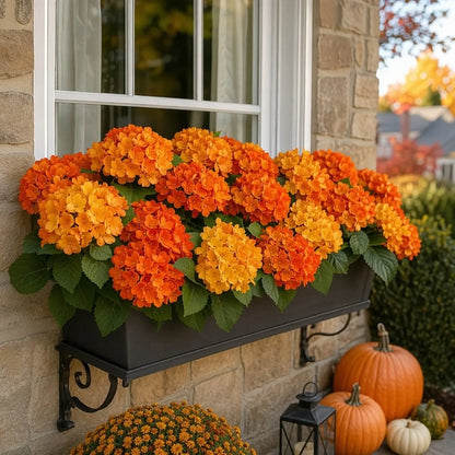 Artificial orange hydrangea stems displayed in a window box planter on a brick wall with pumpkins and fall foliage