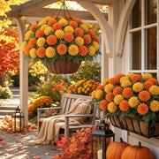 Artificial Orange & Yellow Mum Ball Flower Stems – 12-Piece Bouquet