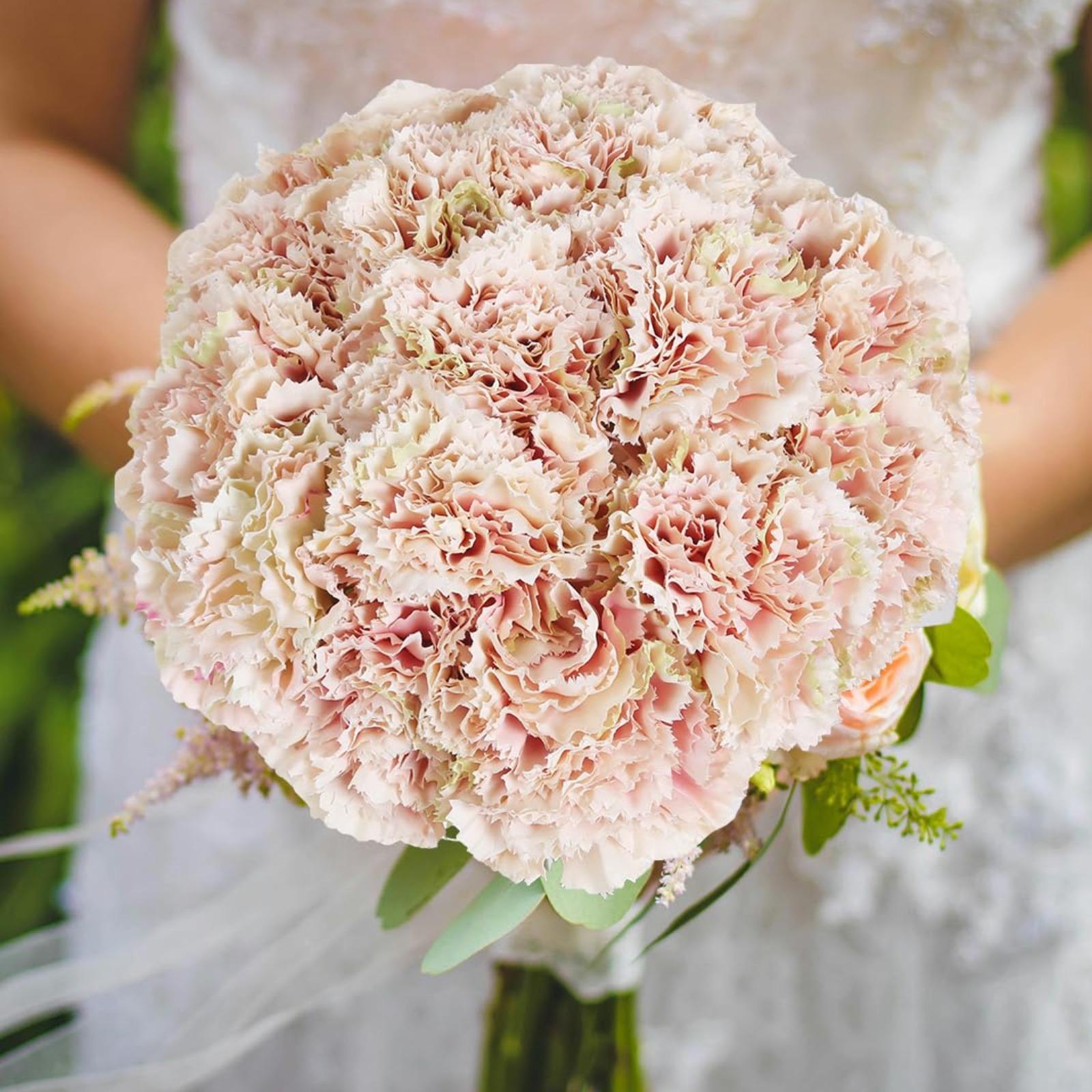 Artificial Carnation Flowers 15pcs with Stems | Wedding Bouquet Home Decor Anniversary Birthday & Valentine's Day in 8 Colors