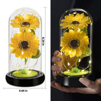 Sunflower Glass Dome Lamp with LED Lights | Eternal Sunflower Gift for Her Mother's Day Birthday Christmas