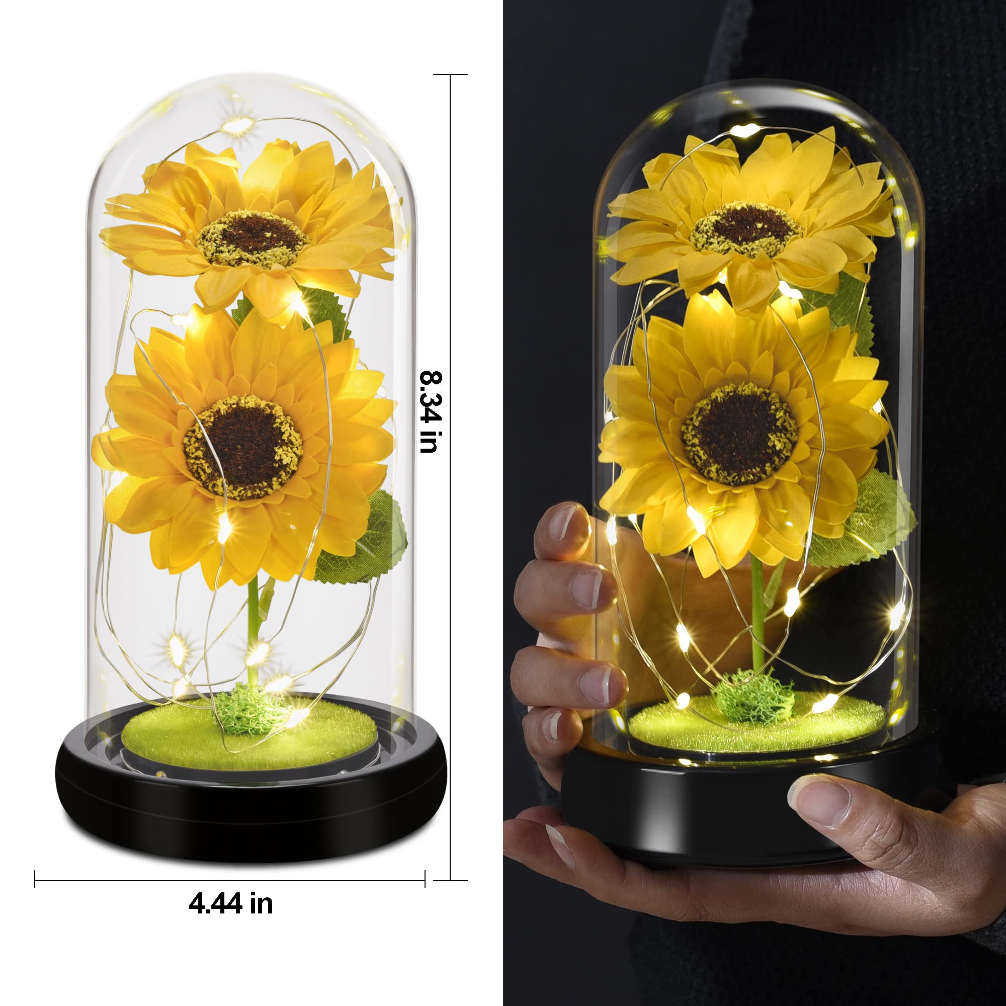 Sunflower Glass Dome Lamp with LED Lights | Eternal Sunflower Gift for Her Mother's Day Birthday Christmas