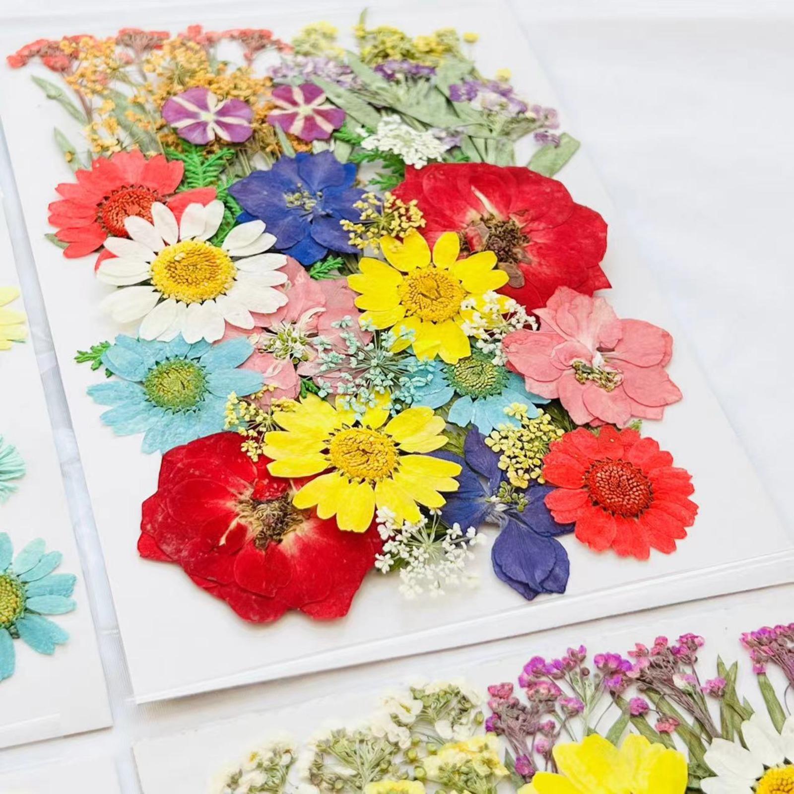 Dried pressed flower botanicals laid out for DIY resin jewelry making