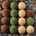 Velvet Christmas Ball Ornaments Bulk Shatterproof 3.15 Inch for holiday decor by IPOPU