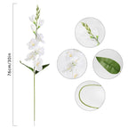 Faux Butterfly Orchid Real Touch Silk Flowers 10 Blooms Double Branch | Wedding Home Decor & Gift in White Pink Blue