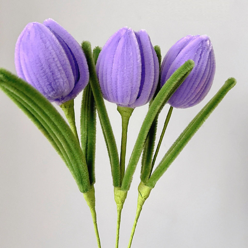 10PCS Pipe Cleaner Chenille Stems DIY Set | Fuzzy Sticks for Flower Crafts Classroom Mother's Day in 4 Colors