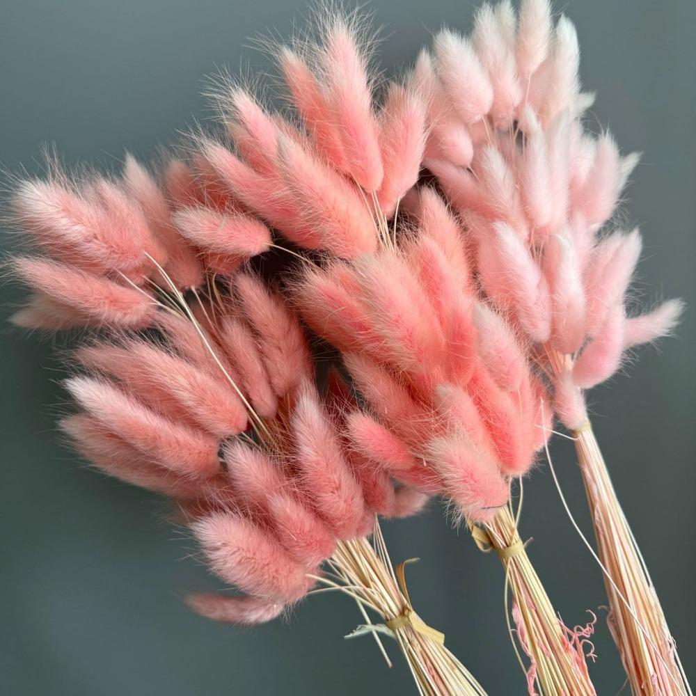 Faux Pampas Grass Set of 2 | Boho Home Decor Wedding Photography Props in White Pink Red Black Orange