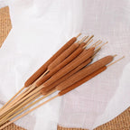 Dried Natural Brown Cattail Stems Bundle 10pcs | Real Bulrush for DIY Floral Wedding Rustic Boho Home Decor