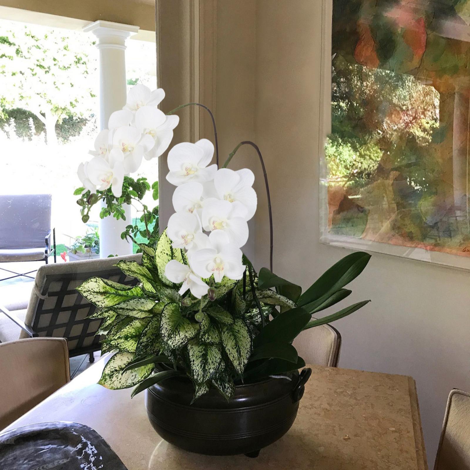 Real Touch Phalaenopsis Orchid Branches 34 inch 2pcs | Wedding Home Party Bridal Shower & Graduation Decor in White Pink Light Purple Purple Orange Champagne
