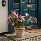 Artificial Hanging Flowers Plants with Basket for Outdoors, Artificial Petunias UV Resistant Petunias Fake Flowers for Outdoor Garden Porch Balcony Decoration