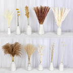 Natural Dried Pampas Grass Bouquet with Gift Box | Boho Home Wedding Farmhouse Nordic Decor