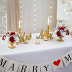 Rose flower ball centerpieces 2pcs bundle for wedding table party by IPOPU
