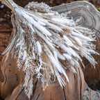 Detail of natural dried cortaderia selloana mixed flower for wedding coffee table by IPOPU