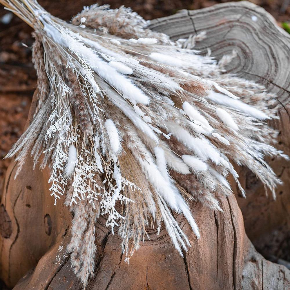 Detail of natural dried cortaderia selloana mixed flower for wedding coffee table by IPOPU
