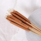 Dried Natural Brown Cattail Stems Bundle 10pcs | Real Bulrush for DIY Floral Wedding Rustic Boho Home Decor