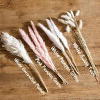 Blush Pink Dried Pampas Grass Bouquet | Natural Boho Wedding Home Farmhouse Decor Centerpiece