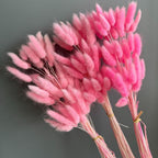 Faux Pampas Grass Set of 2 | Boho Home Decor Wedding Photography Props in White Pink Red Black Orange