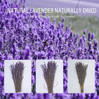 Dried Lavender Flower Bunch | Natural Home Fragrance Wedding Party Photography & DIY Flower Arrangements