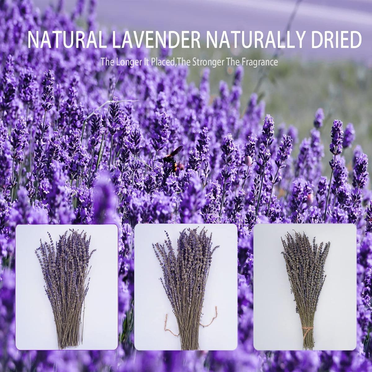 Dried Lavender Flower Bunch | Natural Home Fragrance Wedding Party Photography & DIY Flower Arrangements