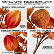 Orange Lantern Flower & Eucalyptus Stem – Fall, Set of 5