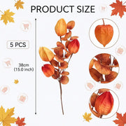 Orange Lantern Flower & Eucalyptus Stem – Fall, Set of 5