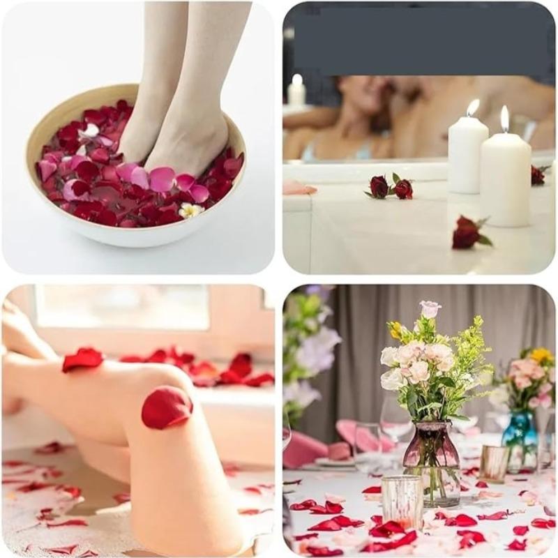 Real Dried Rose Petals | Bath Spa Candle Making Wedding Confetti Resin Jewelry & DIY Crafts