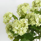 Faux Hydrangea Blooms 5pcs Artificial Flowers | Home Office Wedding Party & Table Centerpiece Decor in 7 Colors