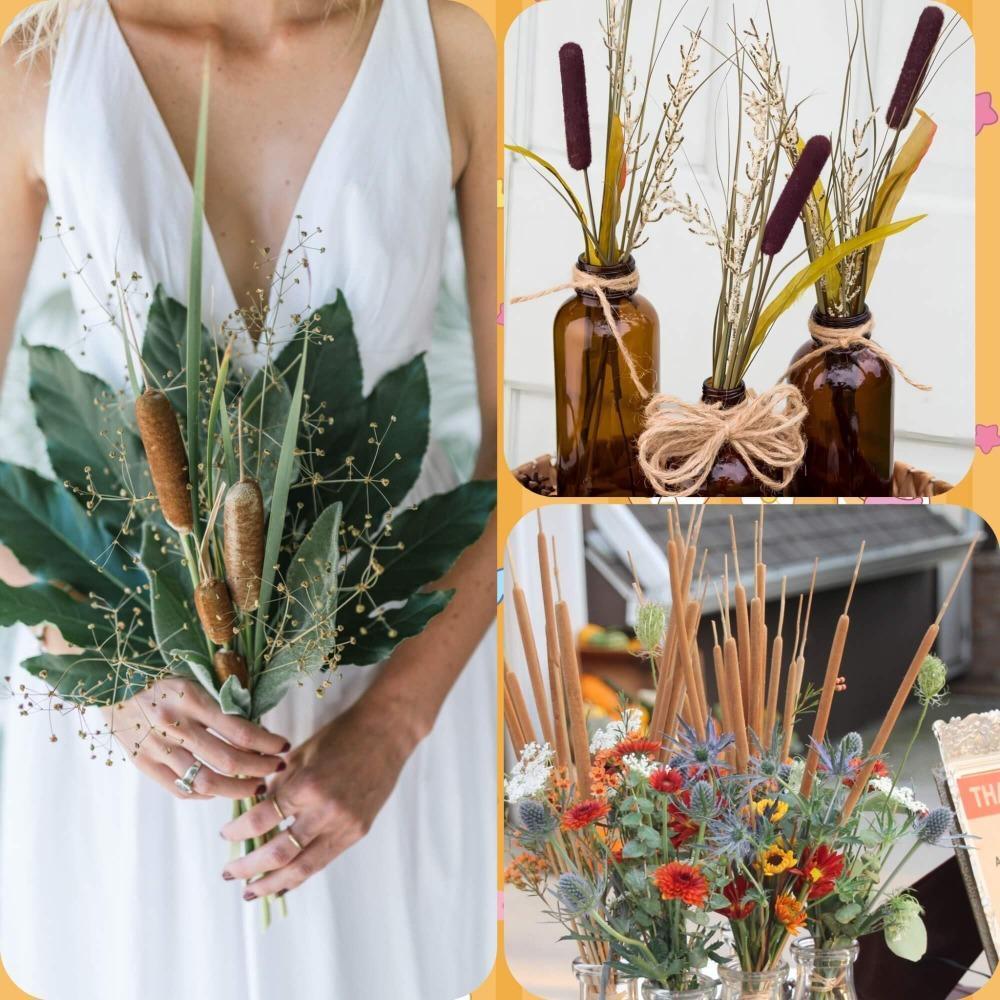 Dried Natural Brown Cattail Stems Bundle 10pcs | Real Bulrush for DIY Floral Wedding Rustic Boho Home Decor