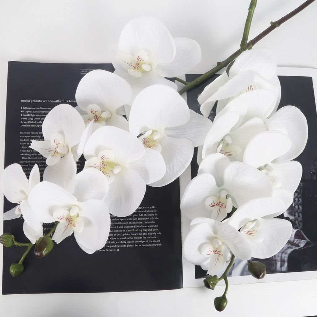 Real Touch Phalaenopsis Orchid Branches 34 inch 2pcs | Wedding Home Party Bridal Shower & Graduation Decor in White Pink Light Purple Purple Orange Champagne