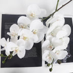 Real Touch Phalaenopsis Orchid Branches 34 inch 2pcs | Wedding Home Party Bridal Shower & Graduation Decor in White Pink Light Purple Purple Orange Champagne
